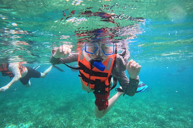Snorkel at the Reef 2 HOURS Puerto Morelos National park - Key points to know before you book
