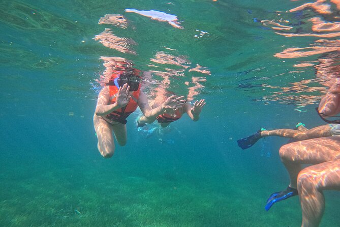 Snorkel at the Reef 2 HOURS Puerto Morelos National park - Who should book this Puerto Morelos outing?
