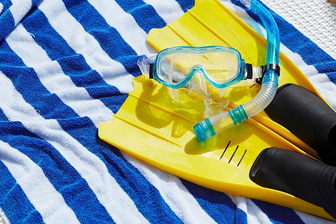 Snorkel Cat All Inclusive Adventure - St. John waters and what you may see