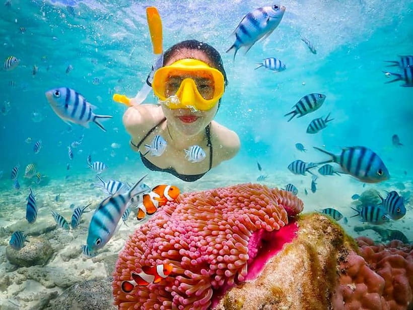 Snorkel & Chill: Nemo Island Trip from Pattaya - Key things to know before you book