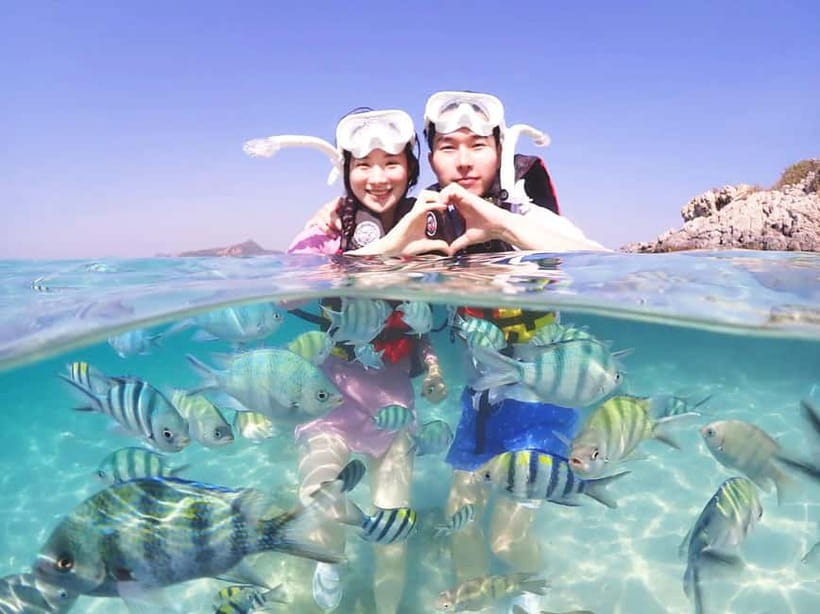 Snorkel & Chill: Nemo Island Trip from Pattaya - Why this Pattaya snorkeling trip works