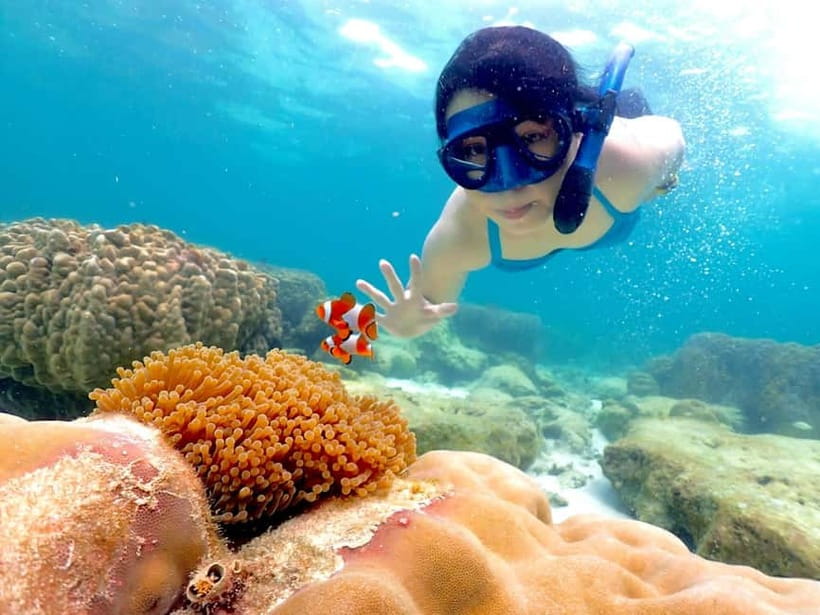 Snorkel & Chill: Nemo Island Trip from Pattaya - The speedboat ride and what is included