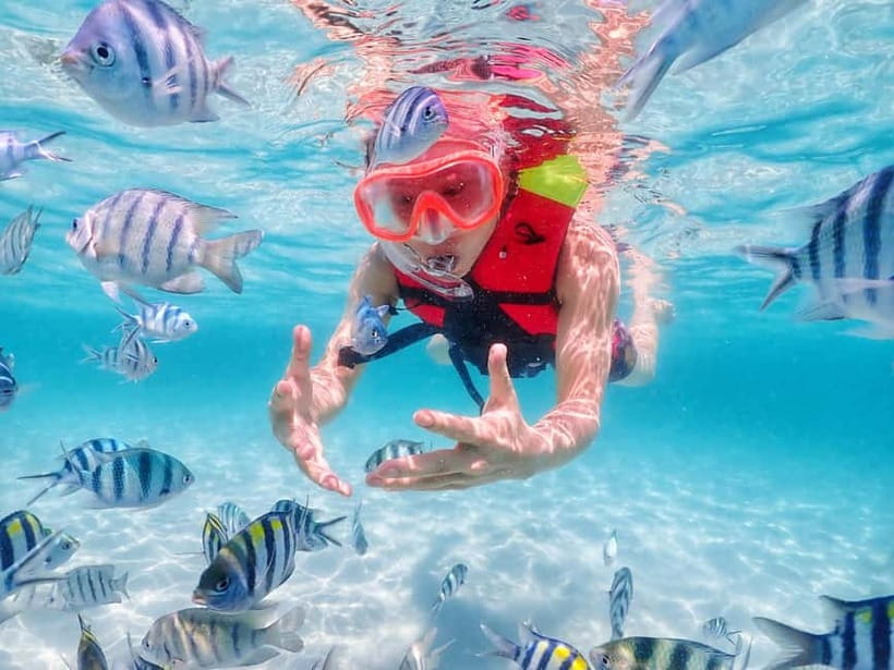 Snorkel & Chill: Nemo Island Trip from Pattaya - Booking details worth knowing