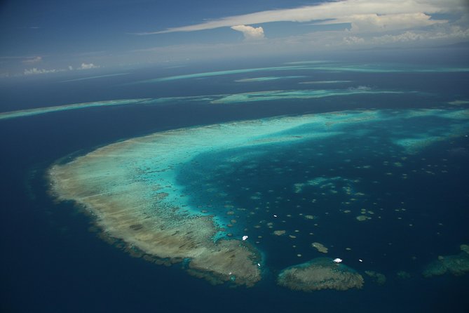 Snorkel & Dive the Reef: Sustainable, Scientific & Cultural Tour - Dry options: glass-bottom boat and semi-submersible