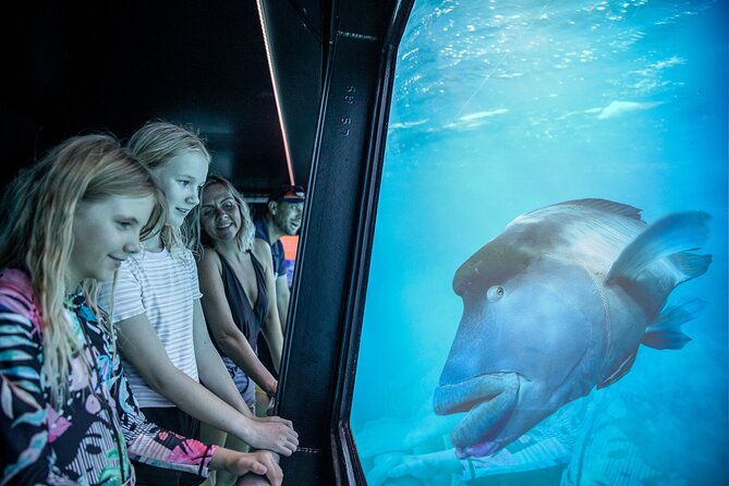 Snorkel & Dive the Reef: Sustainable, Scientific & Cultural Tour - Marine science and cultural context