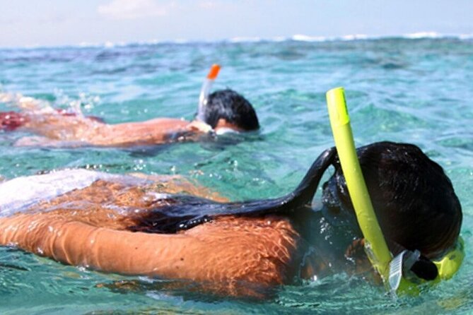 Snorkel & Dolphin Sightseeing Tour Aboard the Footloose - Dolphin watching in the Gulf of Mexico