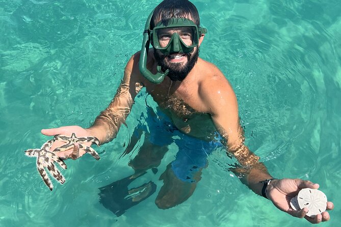 Snorkel & Dolphin Sightseeing Tour Aboard the Footloose - Who should book the Footloose?