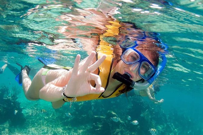 Snorkel in the second largest reef in the world Colorful tour in Puerto Morelos - Who should book this Puerto Morelos tour?