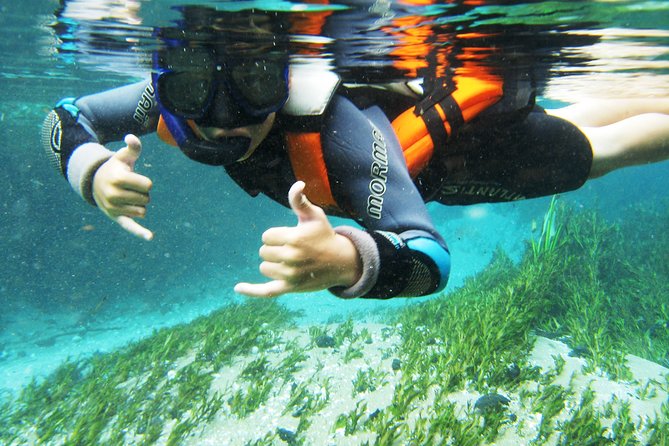 Snorkel in the Sucuri River - Starting from central Bonito