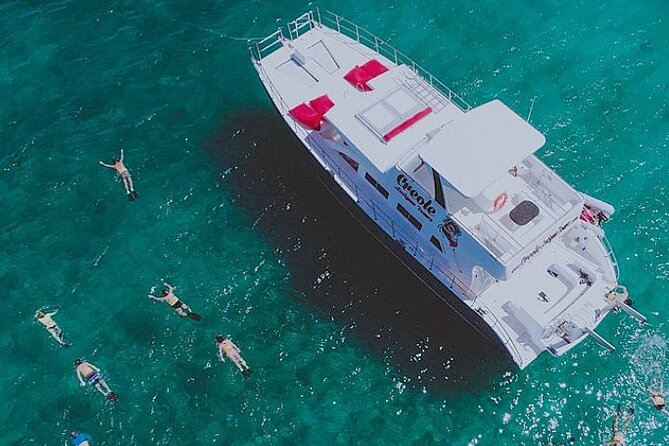 Snorkel - Lobster Lunch Cruise to Bird Island and Paradise Reef - What makes this Antigua boat trip worth considering
