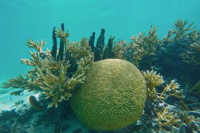 Snorkel - Lobster Lunch Cruise to Bird Island and Paradise Reef - The ride toward Bird Island and Maiden Island