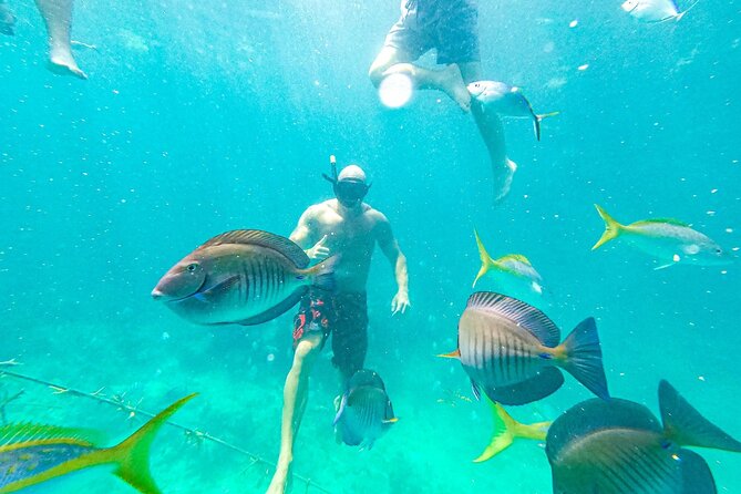 Snorkel Lovers for All Ages & Premium Seafood Lunch in Punta Cana - The crew makes the biggest difference
