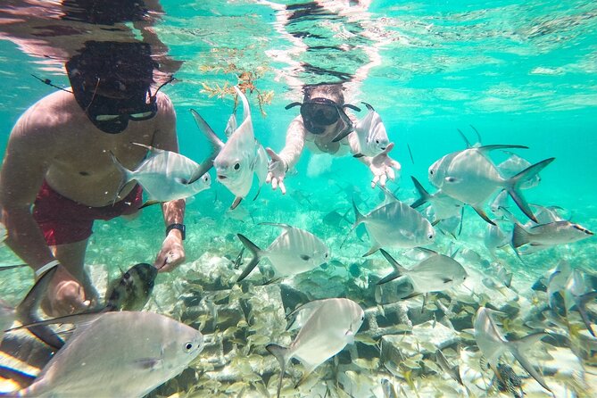 Snorkel Lovers for All Ages & Premium Seafood Lunch in Punta Cana - Value at $114 per person