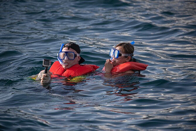 Snorkel, Lunch & Sail in Cabo San Lucas - Who Will Enjoy This Most?
