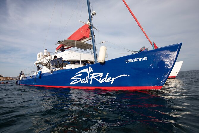 Snorkel, Lunch & Sail in Cabo San Lucas - Sailing Past Cabo’s Famous Rock Formations