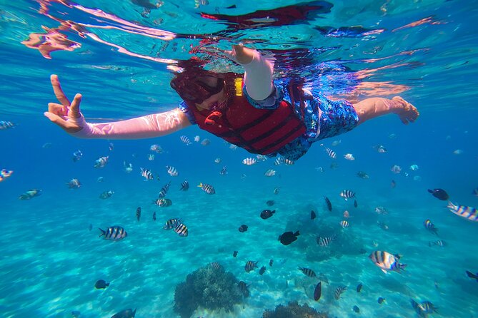 Snorkel St. John Tour from Sapphire and Margaritaville - Three water stops around St. John