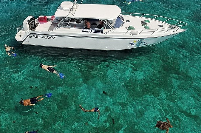 Snorkel St. John Tour from Sapphire and Margaritaville - Crew service and instruction