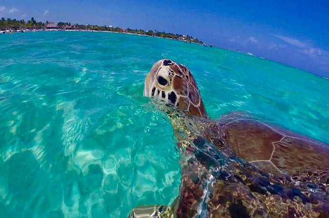 Snorkel St. John Tour from Sapphire and Margaritaville - Sun protection is not optional
