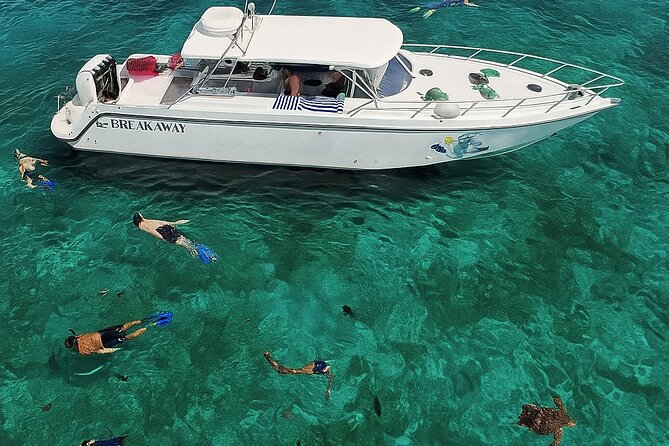 Snorkel St. John Tour from Sapphire and Margaritaville - Who will enjoy this six-hour cruise?