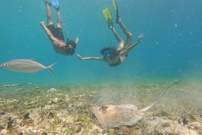 Snorkel St. John Tour from Sapphire and Margaritaville - What the National Park setting adds