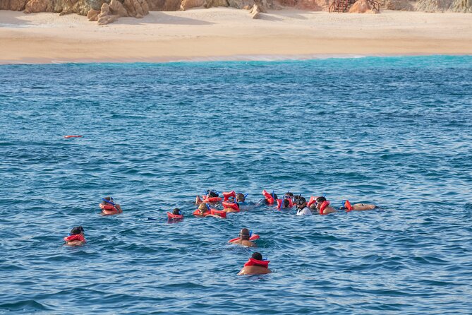 Snorkel & Sunset Sail in Cabo San Lucas - What the snorkeling stop is really like