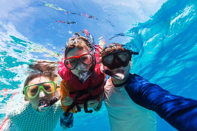 Snorkel & Swim with Turtles. Semi Private Tour to Buck Island & Honeymoon Beach - Drinks, equipment, and what you need to bring