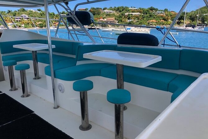 Snorkel & Swim with Turtles. Semi Private Tour to Buck Island & Honeymoon Beach - Is $160 a good value?
