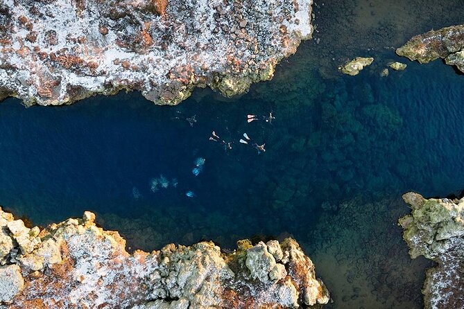 Snorkel the Silfra Fissure-Meet on Location (Free Photos & Cocoa) - What you actually see beneath the surface