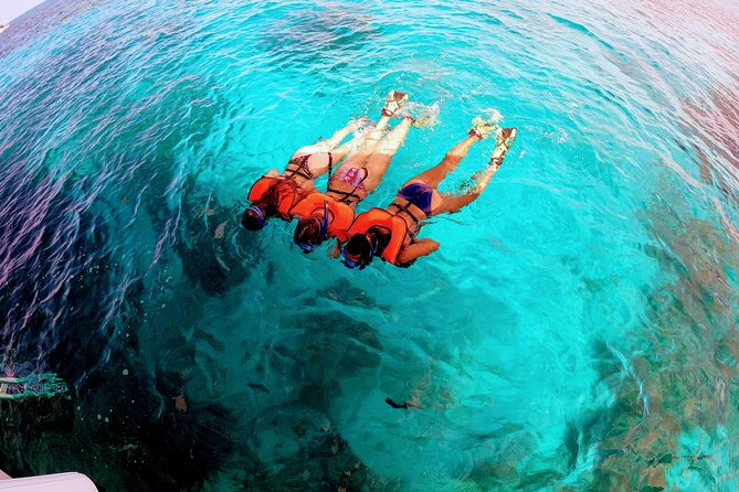 Snorkel Tour - Visit 2 Shallow Reefs John Pennekamp State Park - What You May See Beneath the Surface