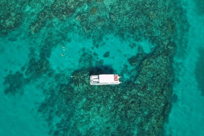 Snorkel Tour - Visit 2 Shallow Reefs John Pennekamp State Park - How Beginner-Friendly Is the Tour?