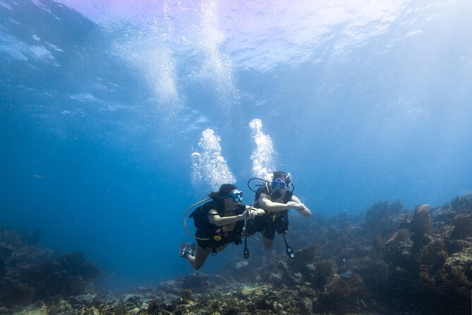 Snorkel Tour - Visit 2 Shallow Reefs John Pennekamp State Park - Is $78 a Fair Price?