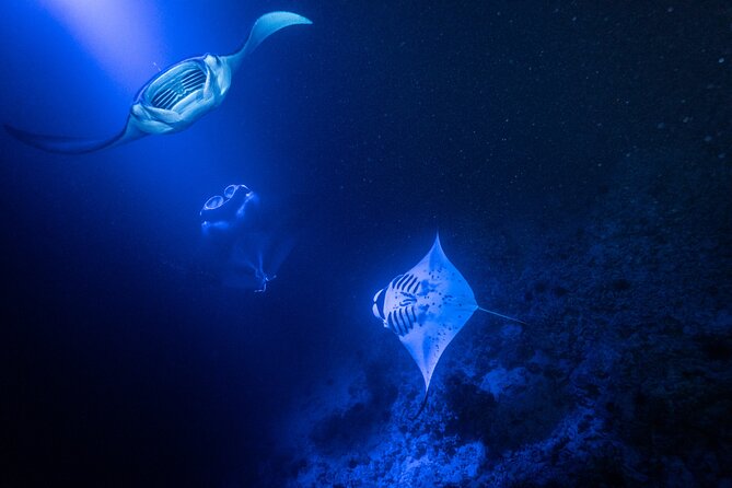 Snorkel With Giant Manta Rays In Kailua Kona - Practical preparation for a comfortable night