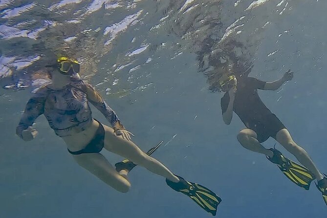 Snorkel with Turtles & see the Flamingos - The 15-minute drive to wild flamingos