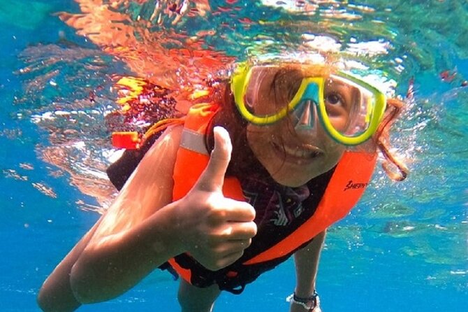 Snorkel with whale sharks includes equipment & transportation - A long day built around La Paz wildlife