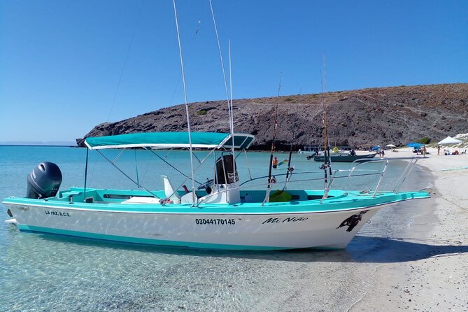 Snorkel with whale sharks includes equipment & transportation - Six hours around La Paz Bay