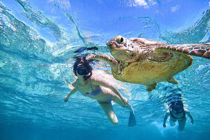 Snorkeling Activity in Okinawa Miyako Japan - Why this Miyakojima snorkel tour earns attention