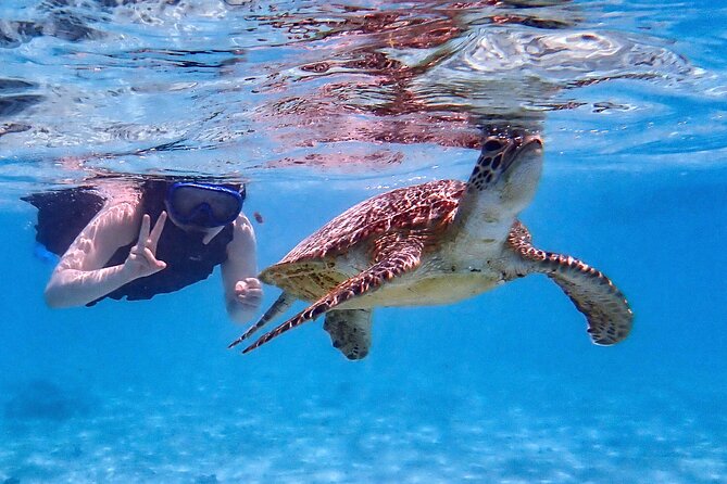 Snorkeling Activity in Okinawa Miyako Japan - The first hour: safety, equipment, and getting comfortable