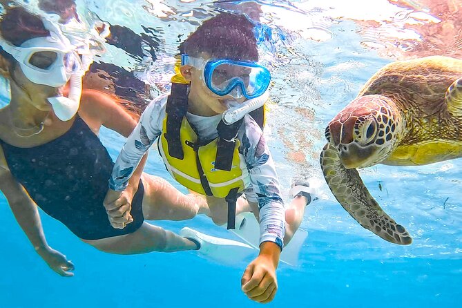 Snorkeling Activity in Okinawa Miyako Japan - Free photos are more useful than they sound
