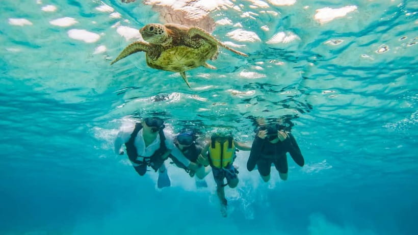 Snorkeling Activity in Okinawa Miyako Japan - What the $41 price really includes