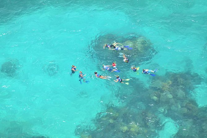 Snorkeling Adventure at Isla Mujeres Includes Lunch and Open Bar - What the $55 price really buys