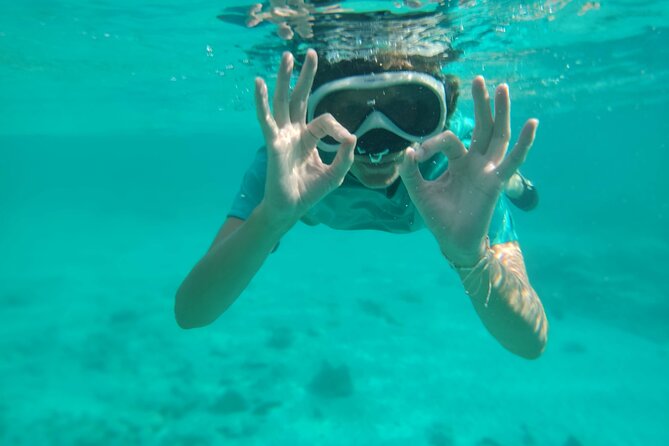 Snorkeling and Grilling Fresh Fish at Donkey Beach - Starting at shaded Donkey Beach