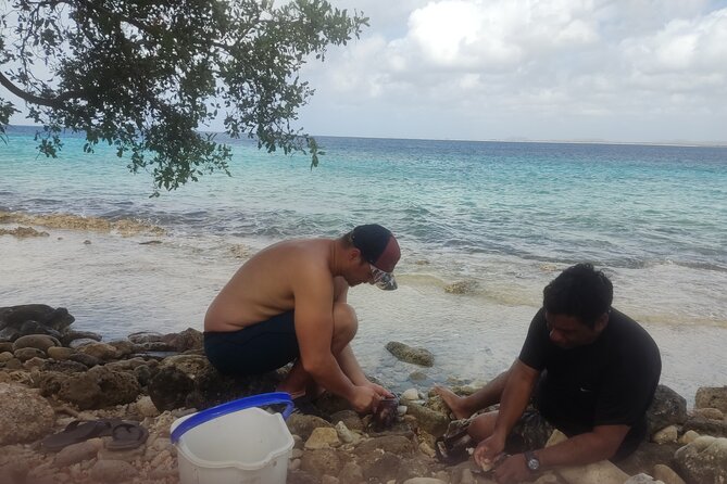 Snorkeling and Grilling Fresh Fish at Donkey Beach - Who will enjoy this Bonaire outing most