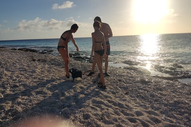 Snorkeling and Grilling Fresh Fish at Donkey Beach - Snorkeling from shore in clear water