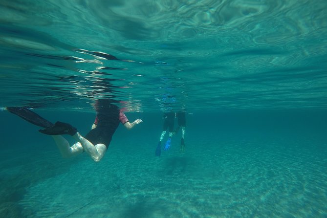 Snorkeling and swimming tour to the Poseidon's temple at Sounio cape - Swimming and snorkeling at Legrena Beach
