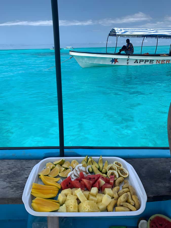 Snorkeling and swimming with dolphins in mnemba island - Snorkeling from the boat at two reef spots