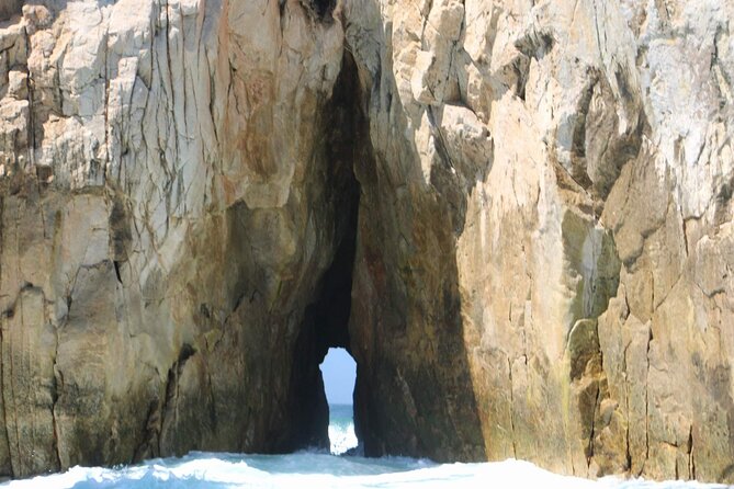 Snorkeling and whale watching Tour in Cabo - What is included, and what you should bring