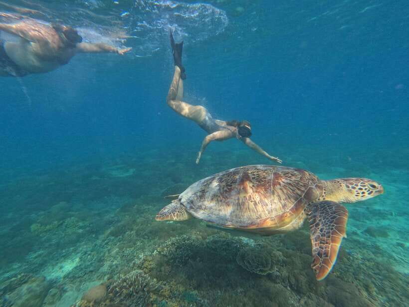 Snorkeling around 3 island & turtle sanctuary - Gili Meno and the Turtle Conservation Visit