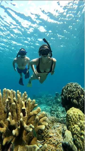 Snorkeling around 3 island & turtle sanctuary - Turtle Point: The Best Chance to Swim With Turtles