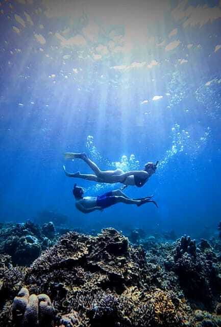 Snorkeling around 3 island & turtle sanctuary - Who Will Get the Most From This Experience?