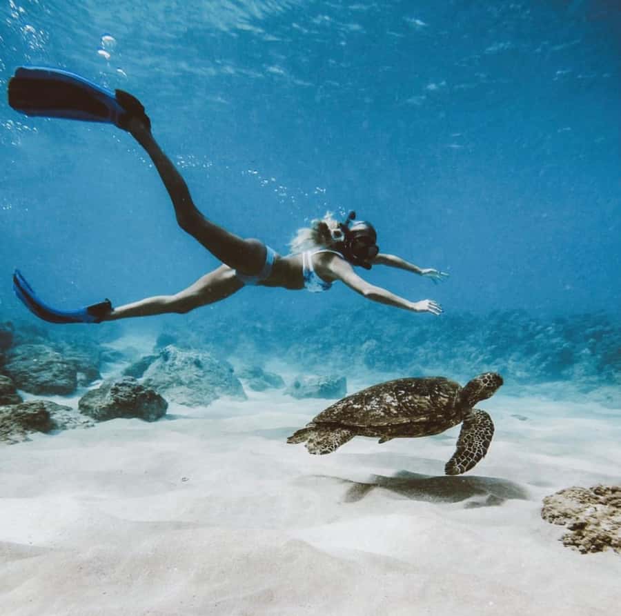 Snorkeling at Blue Lagoon, Tanjung Jepun and Waterfall - Booking flexibility and practical checks